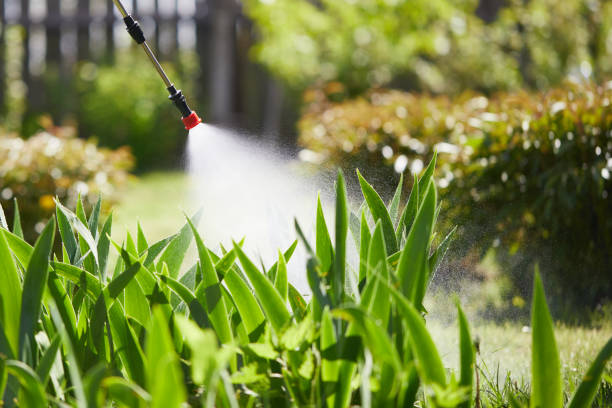 24/7 Emergency Mosquito Control experts in Mount Union, PA